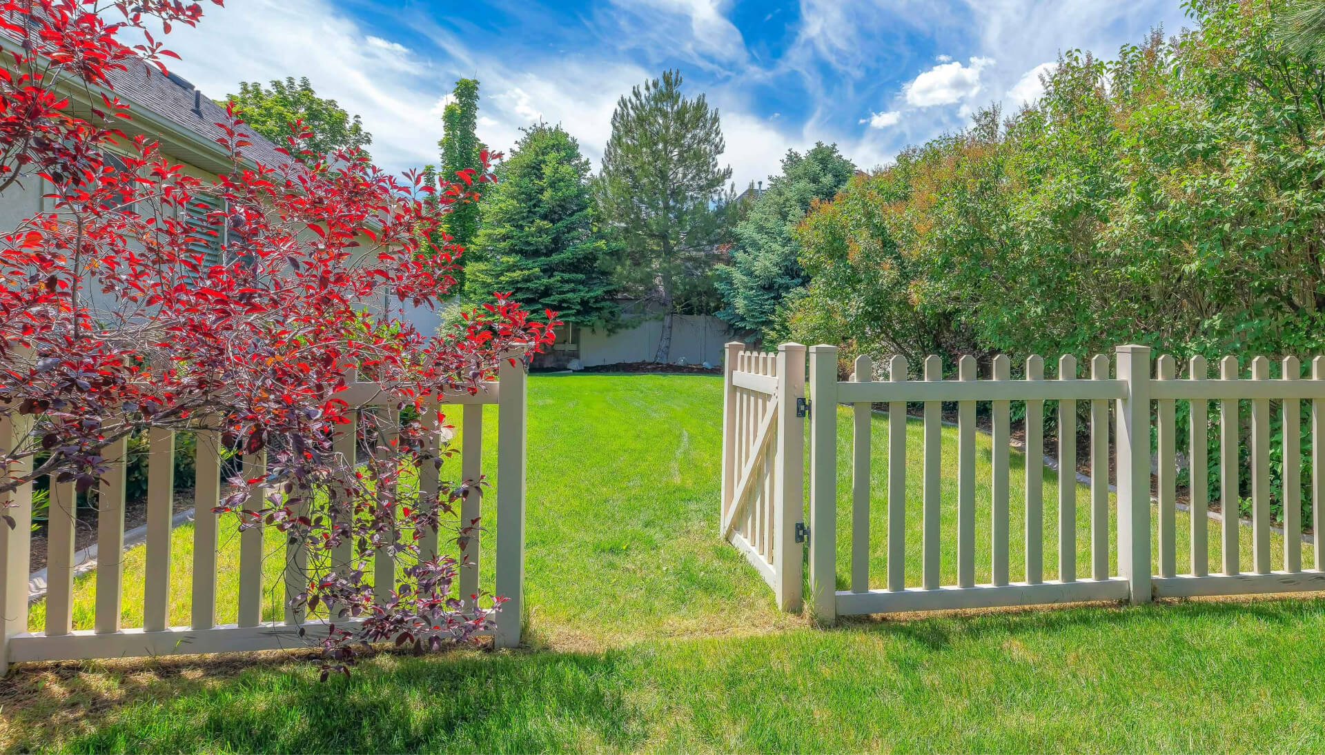 A functional fence gate providing access to a well-maintained backyard, surrounded by a wooden fence in Sacramento